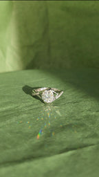 The Elenore Ring